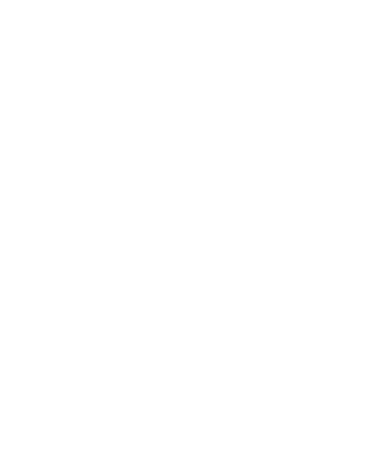 NSWERS Logo in White